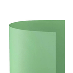 FAVINI                                                        Cartoncino Bristol Liscio 200gr. 50x70 25 Ff Verde Chiaro