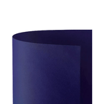 FAVINI                                                        Cartoncino Prisma Monoruvido 220gr. 70x100 10ff Blu