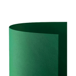 FAVINI                                                        Cartoncino Prisma Monoruvido 220gr. 50x70 20ff Verde
