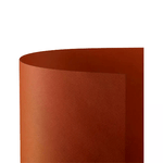 FAVINI                                                        Cartoncino Prisma Monoruvido 220gr. 70x100 10ff Scarlatto