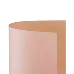FAVINI                                                        Cartoncino Bristol Liscio 200gr. 50x70 25 Ff Salmone