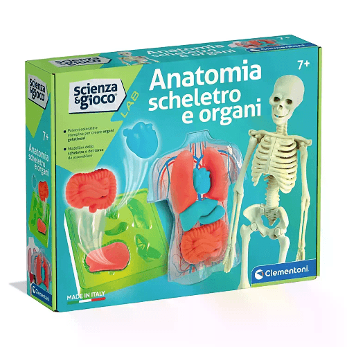 CLEMENTONI                                                   Anatomia Scheletro E Organi