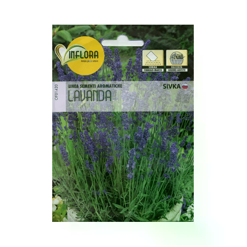 GIODICART                                                    Semi per Fiori: Lavanda