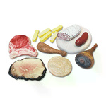 GIODICART                                                    Alimenti in Plastica: Carni