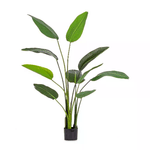 Bizzotto Pianta Strelitzia con Vaso 10Foglie H150 (2 Pezzi) - RIFLETTORE
