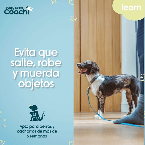 Coachi Imbracatura per Cani Coachi