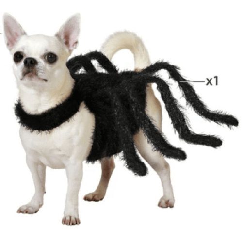 Costume-per-Cane-Ragno-Taglia-M