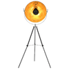 img-c265b882-cb6a-49ee-ace9-a364845c573b.png