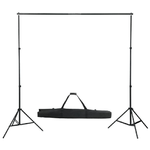 vidaXL Kit per Studio Fotografico con Set di Luci e Fondale