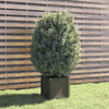 img-a5509899-0c4a-4319-90f3-25cb9d7c8ad5.png