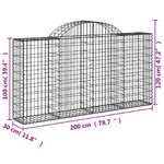 vidaXL Cesti Gabbioni ad Arco 40 pz 200x30x100/120 cm Ferro Zincato