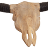 img-83182e72-c1a0-4a34-ad04-e4520b7cfd69.png