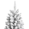 img-3f6105c4-81f2-48f6-b905-bc8bb4ef8253.png