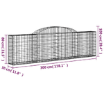 vidaXL Cesti Gabbioni ad Arco 2 pz 300x30x80/100 cm Ferro Zincato