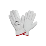 img-6d955f97-81f3-498d-a39b-805a4a8cf273.png
