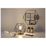 Hama-00176602-Lampadina-a-risparmio-energetico-55-W-E14