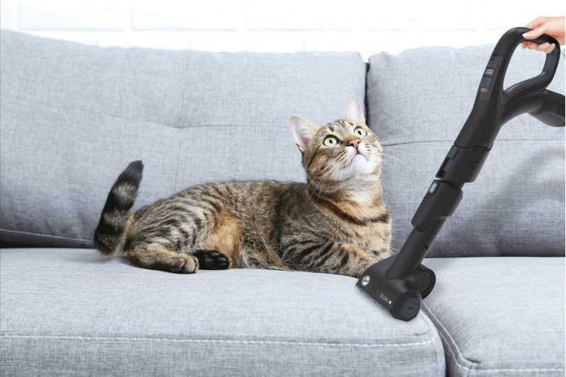 Hoover-H-POWER-700-HP730ALG-011-2-L-Aspiratore-a-cilindro-Secco-e-bagnato-850-W-Senza-sacchetto