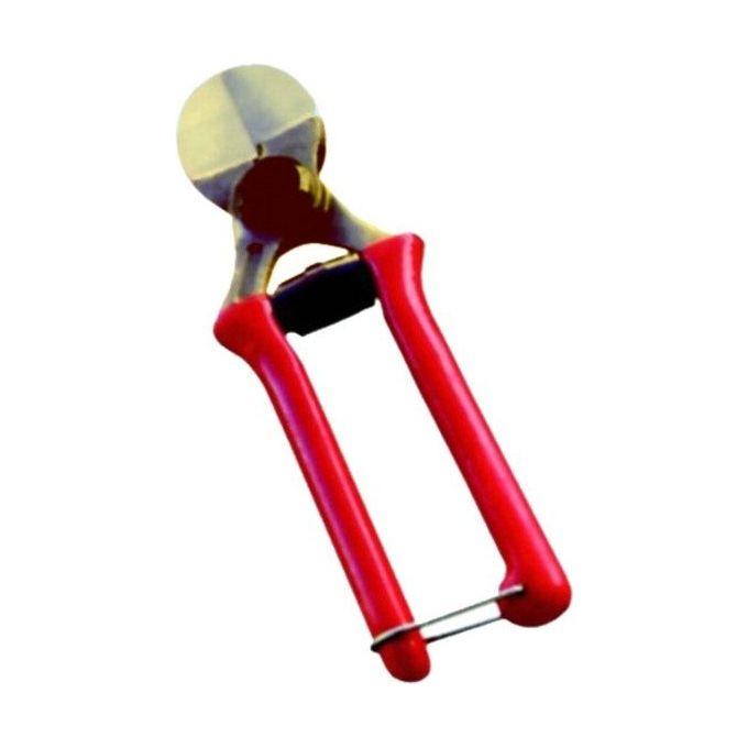 img-bfcfac41-5f1b-4777-a5a0-e7d4faf78c6b