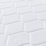 img-caef3eee-6b31-42ec-839e-0c4ce182bad9.png