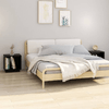 img-e800851f-b595-4a85-8a44-a5f3894b2c26.png