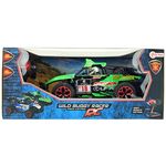 Toi-Toys RC Auto 1:16 Buggy Green