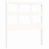 img-21557745-26e9-419f-9e30-7d2f6ff0b42e.png