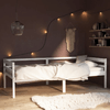 img-c86932b3-f94b-4b0c-815f-beae406c5c20.png