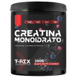 T-Rex Integratori Creatina Monoidrata Polvere 250 grammi - Integratore alimentare per massa muscolare e boost energetico - Frutti di bosco