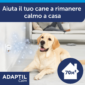 adaptil calm diff+ricarica48 millilitri