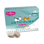 articolina - forte descrizione