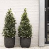 img-497ff5f2-2d8f-4ffe-b03c-3c46d95c1274.png