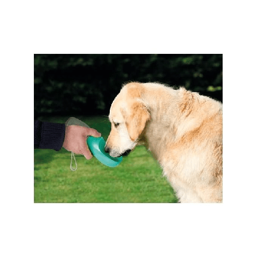 img-b38efd14-6b2d-4459-9931-f26079cd4a3b.png