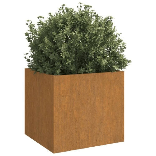 img-365c38f4-a7e9-4bbb-b587-547c09d8de95.png