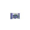 img-1888240f-d6db-4020-a4e3-3b13949583d3.png