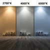 img-142a4bb7-f823-4081-8220-3a2a8c22c58a.png