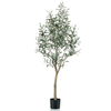 img-3d0b6419-422a-480d-b4aa-19e1ca1bd615.png