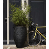 img-3a31a131-441d-453e-ad5a-3ec1dee83acb.png