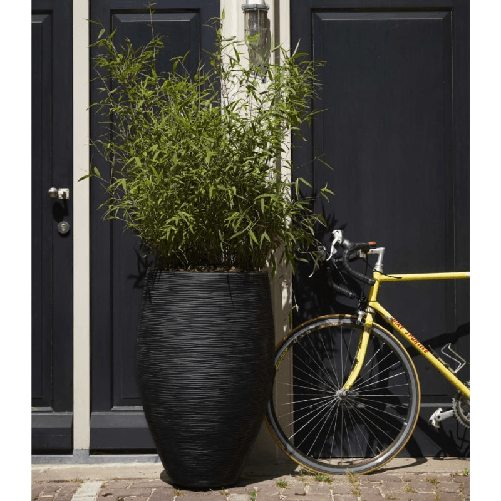 img-3a31a131-441d-453e-ad5a-3ec1dee83acb.png