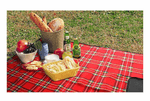 Telo-picnic-175x200-cm-100--Poliestere-Retro-Impermeabile