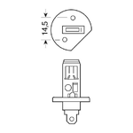 Lampa-58632-lampadina-per-auto