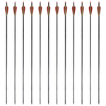 Frecce Standard 12 pz per Arco Ricurvo 30" 0,76 cm in Carbonio