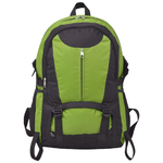 vidaXL-Zaino-da-Trekking-40L-Nero-e-Verde