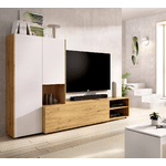 Dmora Parete attrezzata Daaquis, Set da soggiorno porta TV, Mobile salotto multiuso, 227x40h141 cm