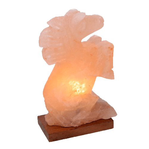 Vacchetti-Lampada-sale-base-legno-cavallo-con-attacco-cm15x8h22