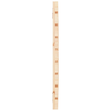img-db711202-c66c-49e5-8eb5-d76365a0a4d1.png