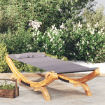 vidaXL Lettino Prendisole 100x188,5x44 cm in Legno Curvato Antracite