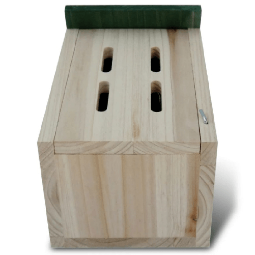 img-09876676-54f5-4541-8bf6-a6a833a6527d.png