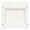 img-f35f6cda-ab47-421e-9644-202835f43291.png