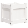 img-b0369d62-82e7-478c-a85f-ce0476c08292.png