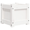 img-ca1b86cb-85bd-4aa5-bf08-fd3d615401b7.png